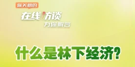 在線訪談丨什么是林下經濟？